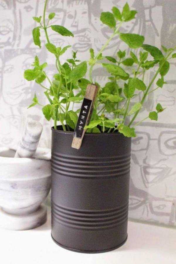 02-mini-horta