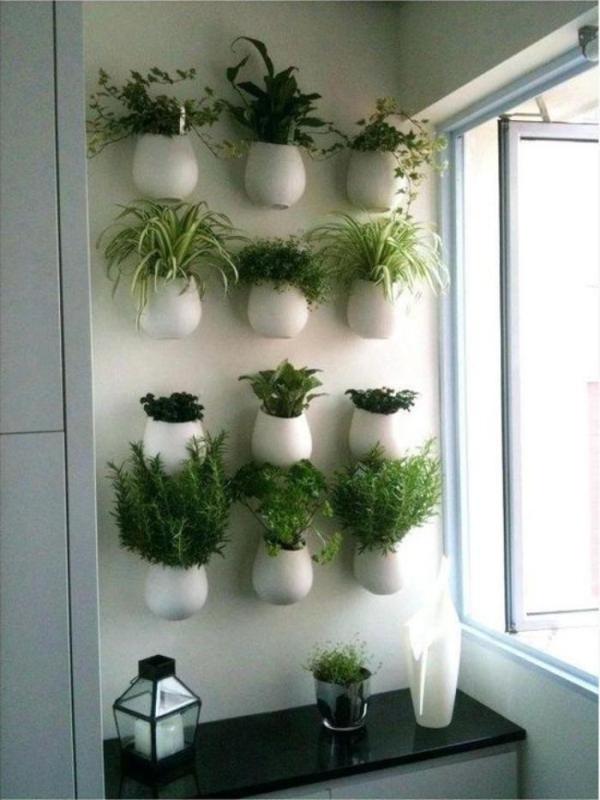 04-mini-horta