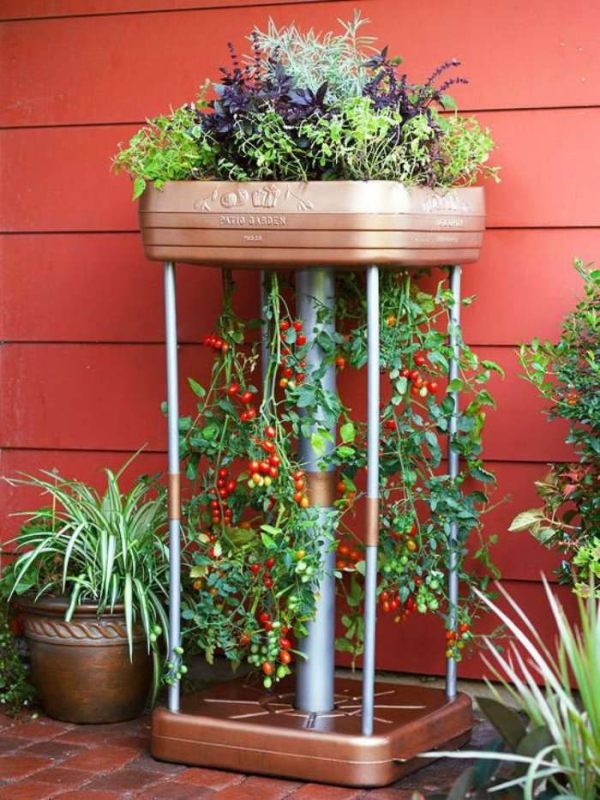 08-mini-horta