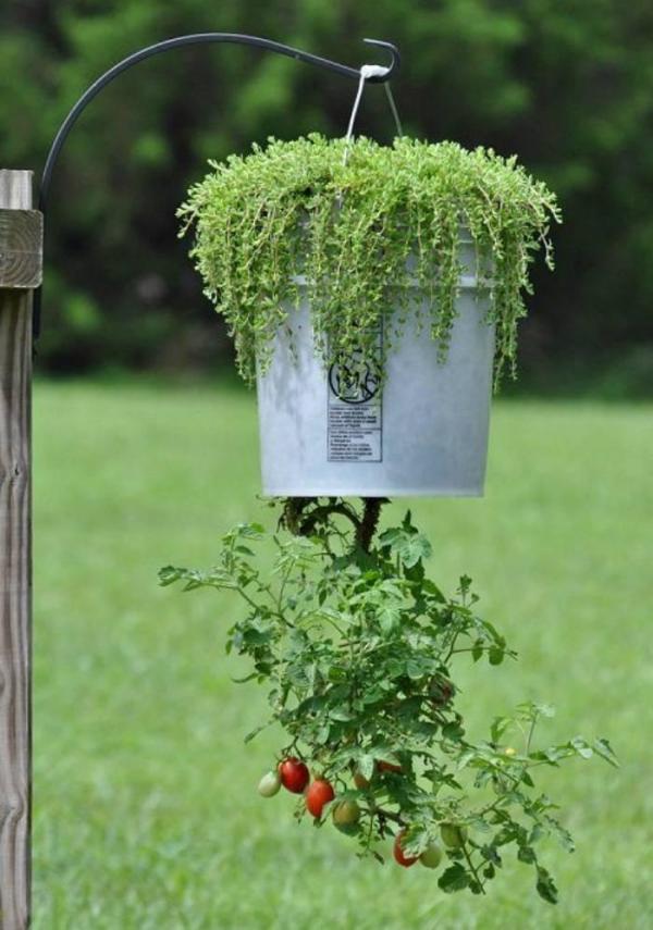 09-mini-horta