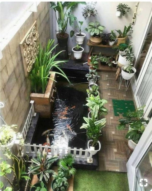 Valorize o espaço com um belo mini jardim
