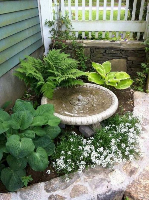 Valorize o espaço com um belo mini jardim