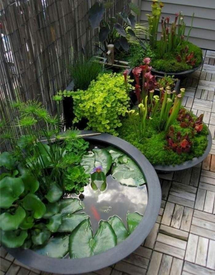 Valorize o espaço com um belo mini jardim