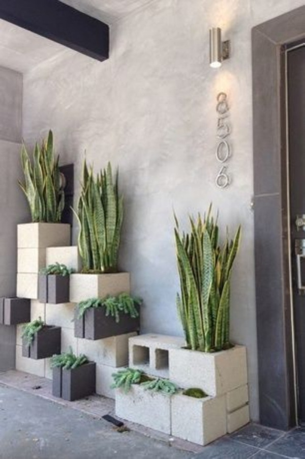 Valorize o espaço com um belo mini jardim
