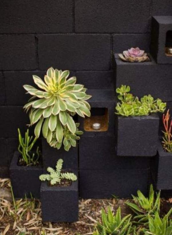 Valorize o espaço com um belo mini jardim