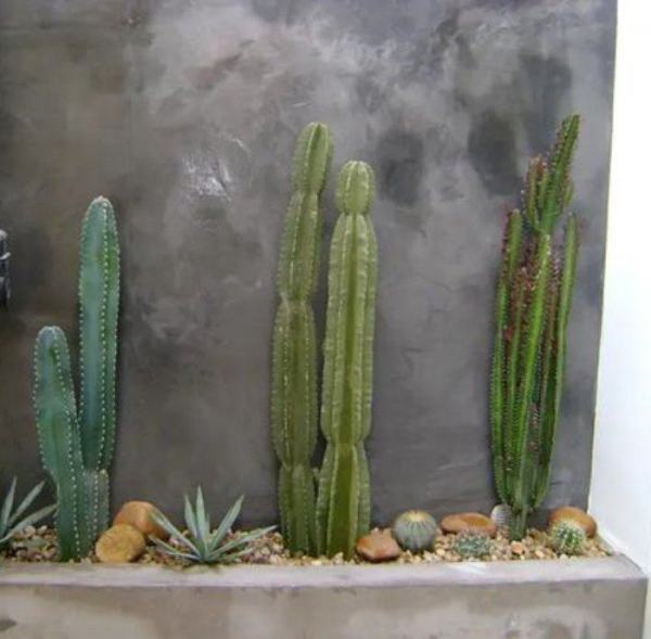 Valorize o espaço com um belo mini jardim
