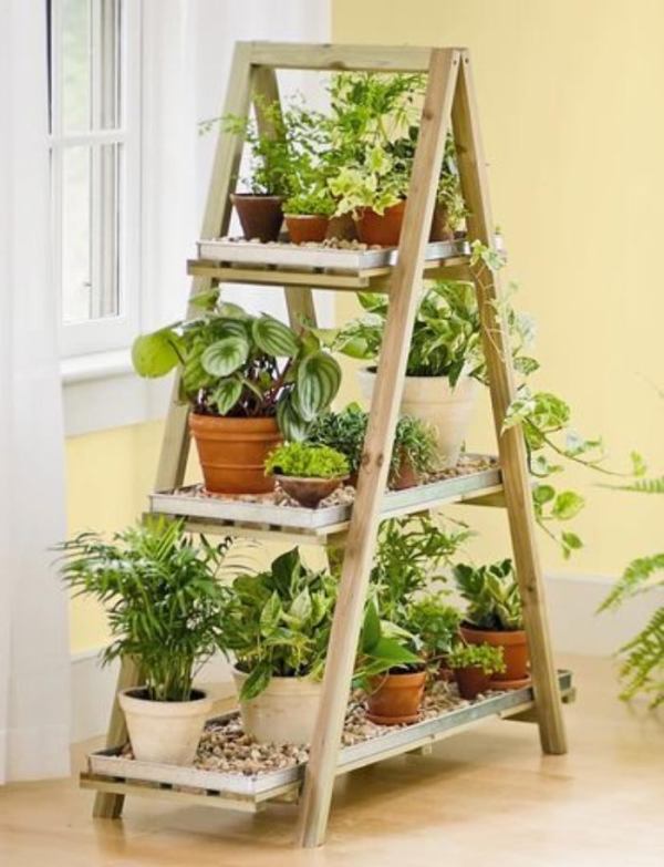 Valorize o espaço com um belo mini jardim