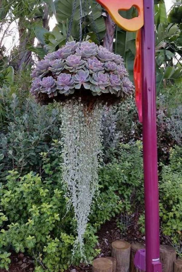 Valorize o espaço com um belo mini jardim