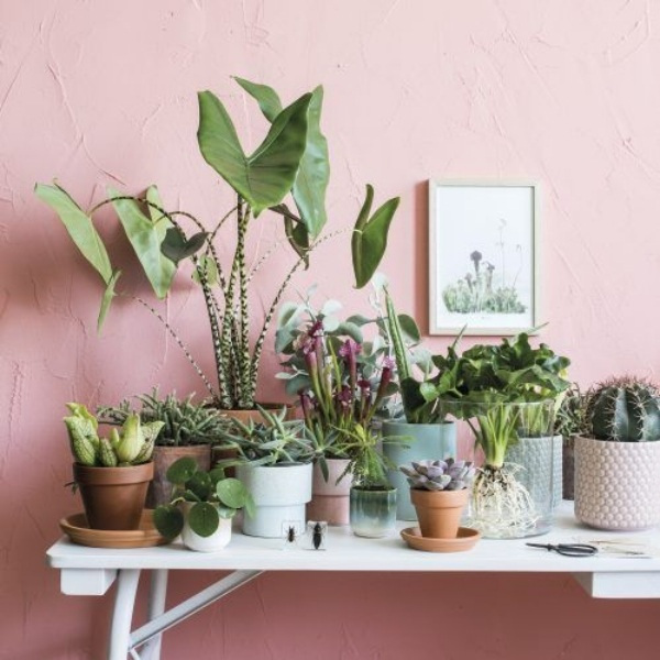 Casa Bonita: Decorando a casa com detalhes em rosé
