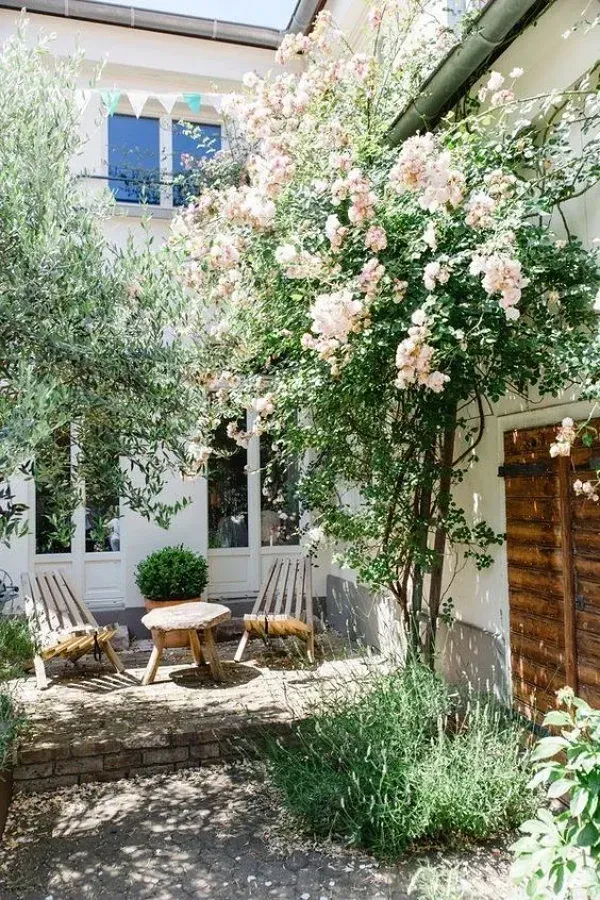 Casa Bonita: A natureza dentro do seu quintal para relaxar