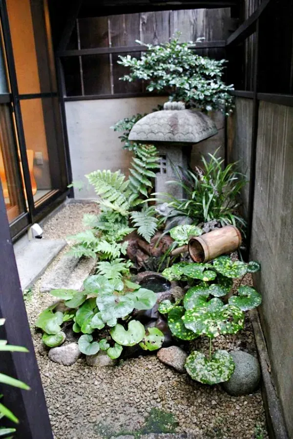 Inspirações para fazer do seu jardim um cantinho especial