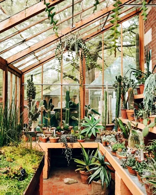 Inspirações para fazer do seu jardim um cantinho especial