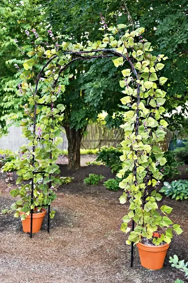 Inspirações para fazer do seu jardim um cantinho especial