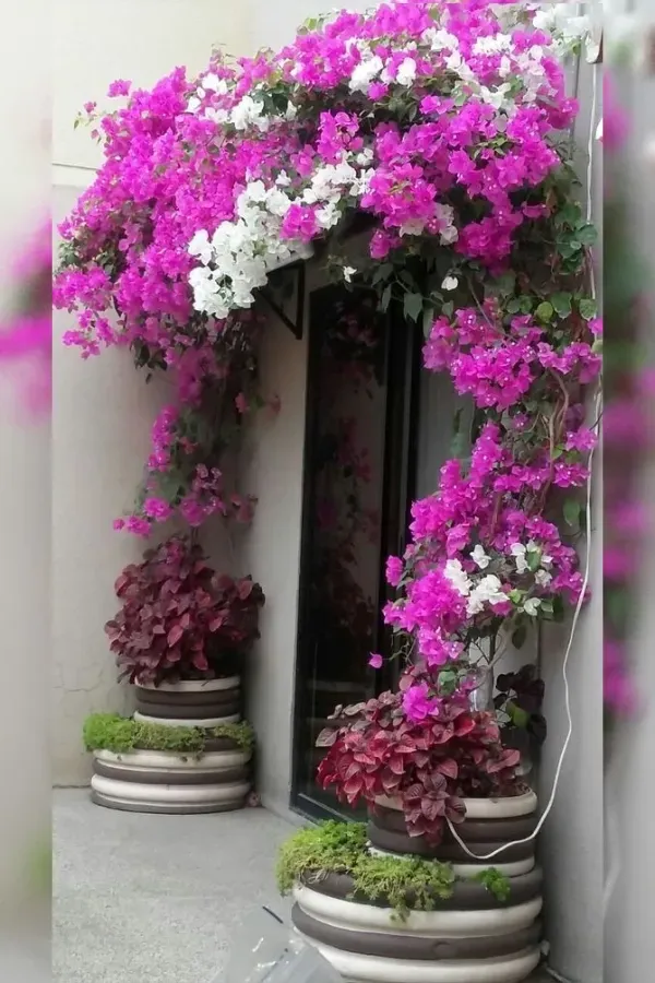 Inspirações para fazer do seu jardim um cantinho especial