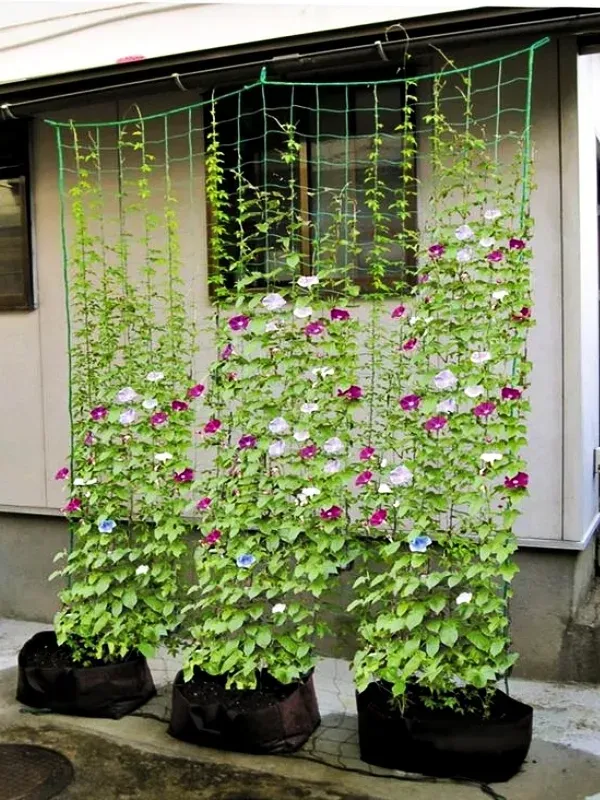 Inspirações para fazer do seu jardim um cantinho especial
