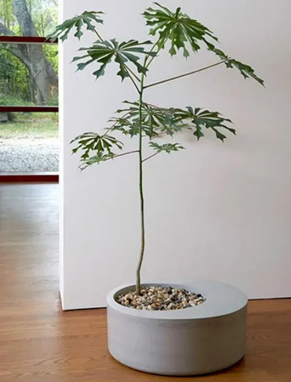 Dicas de DIY com cimento: Como criar peças decorativas modernas para o seu ambiente