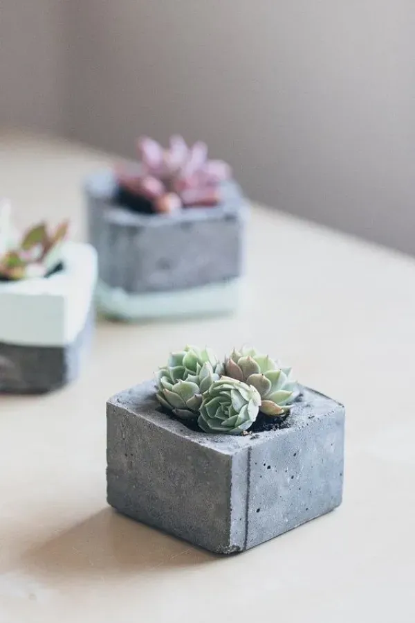 Como fazer seus próprios vasos decorativos de cimento