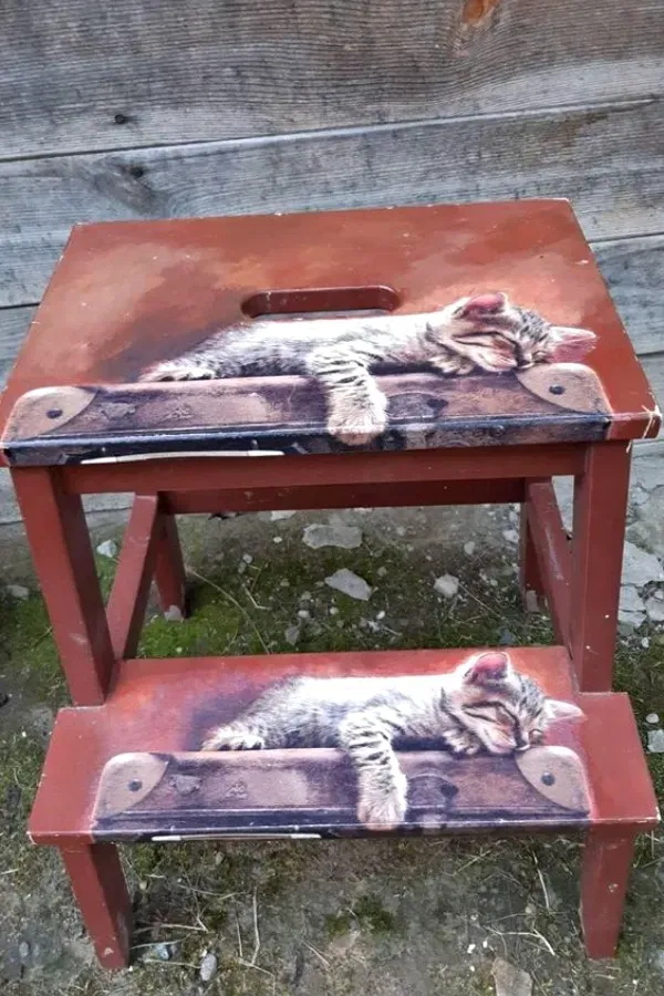 Decoupage Criativa: Dê Vida Nova a Móveis e Objetos