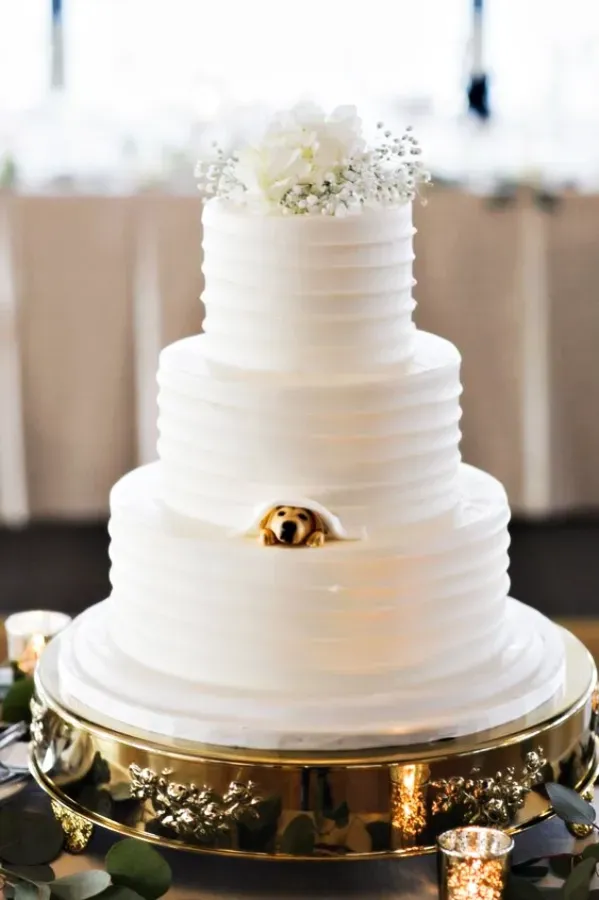 15 Modelos de Bolos Decorados Criativos para sua Festa!