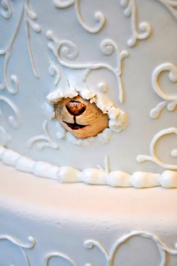 15 Modelos de Bolos Decorados Criativos para sua Festa!