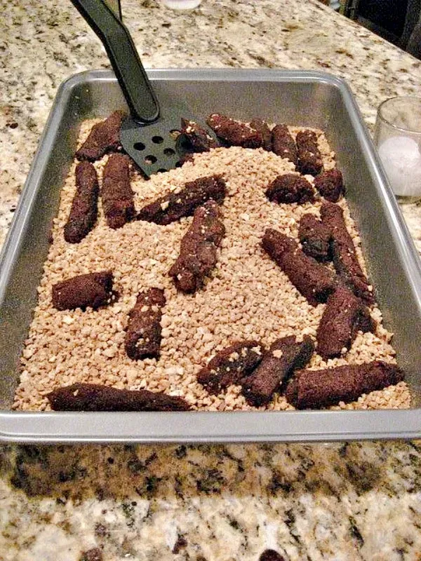 Decoração Fácil de Halloween e Ideias de Comidas Assustadoramente Divertidas