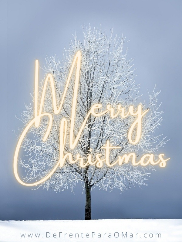 Capa Natal-2b 2020
