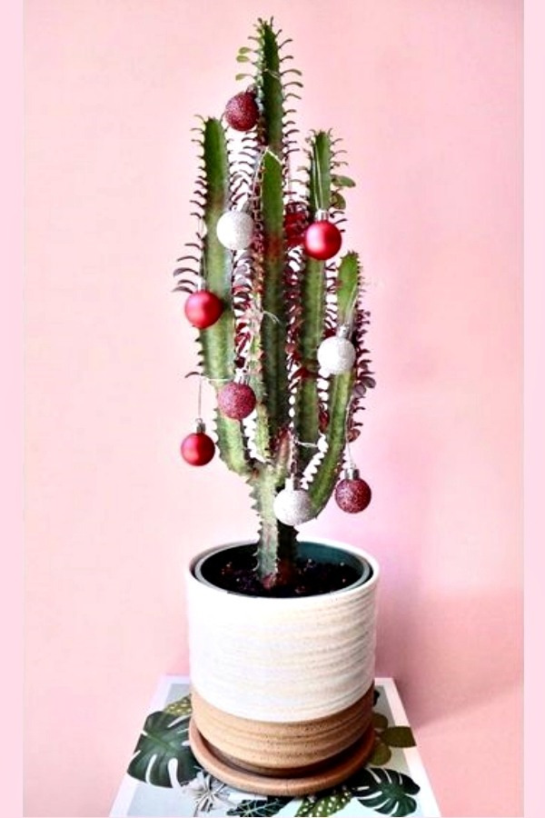 Preparando o Natal: Enfeites de Natal Baratos e Originais
