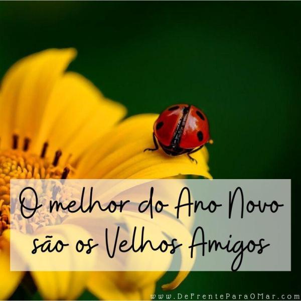 Lindos cartões com mensagem de Feliz Ano Novo para enviar