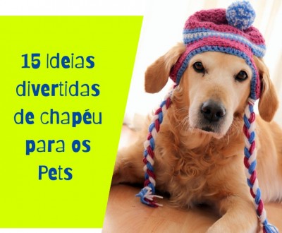 15 Ideias divertidas de chapéu para cachorros