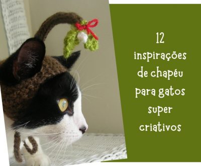 12 Inspirações de chapéu para gatos criativos e divertidos