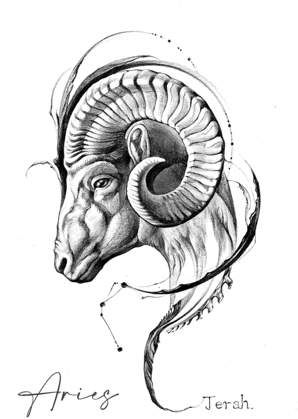 Tatuagens do Zodíaco: As Mais Belas Tattoos de Cada Signo – Encontre a Sua!