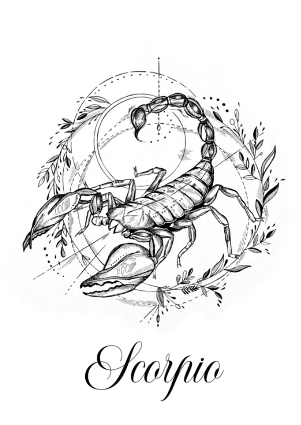 Tatuagens do Zodíaco: As Mais Belas Tattoos de Cada Signo – Encontre a Sua!