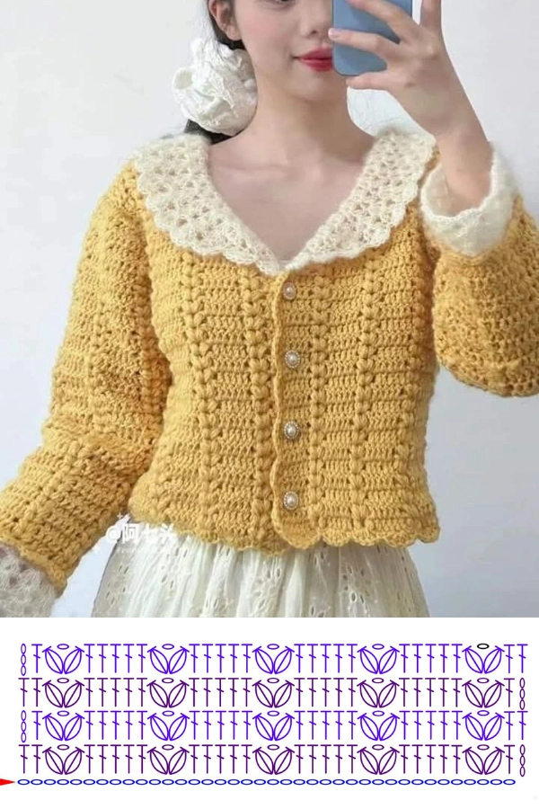15 Pontos de Crochê para Blusas: Modelos Modernos com Gráficos