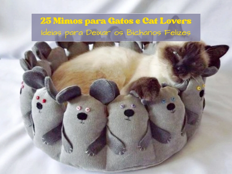 25 Mimos para Gatos e Cat Lovers: Ideias para Deixar os Bichanos Felizes