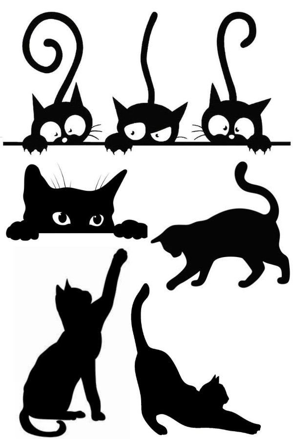 25 Mimos para Gatos e Cat Lovers: Ideias para Deixar os Bichanos Felizes