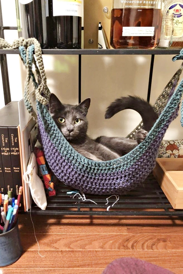 25 Mimos para Gatos e Cat Lovers: Ideias para Deixar os Bichanos Felizes