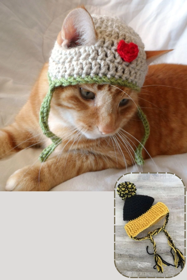 25 Mimos para Gatos e Cat Lovers: Ideias para Deixar os Bichanos Felizes