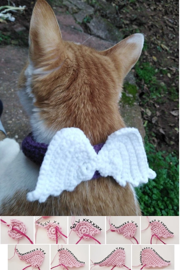 25 Mimos para Gatos e Cat Lovers: Ideias para Deixar os Bichanos Felizes