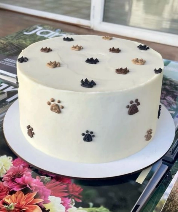 25 Mimos para Gatos e Cat Lovers: Ideias para Deixar os Bichanos Felizes