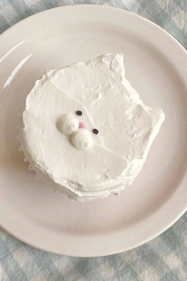25 Mimos para Gatos e Cat Lovers: Ideias para Deixar os Bichanos Felizes