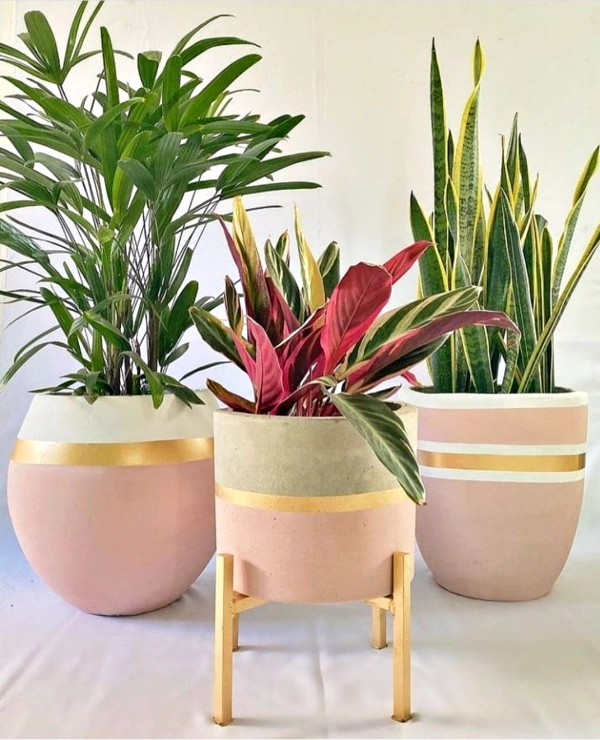 30+ Ideias Criativas para Pintar Vasos e Potes: Decore sua Casa ou Lucre Vendendo