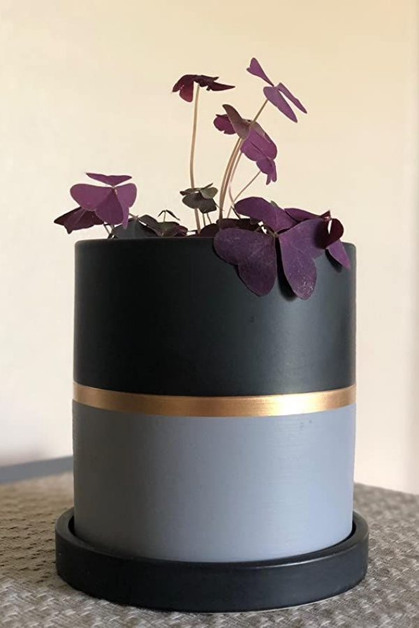 30+ Ideias Criativas para Pintar Vasos e Potes: Decore sua Casa ou Lucre Vendendo