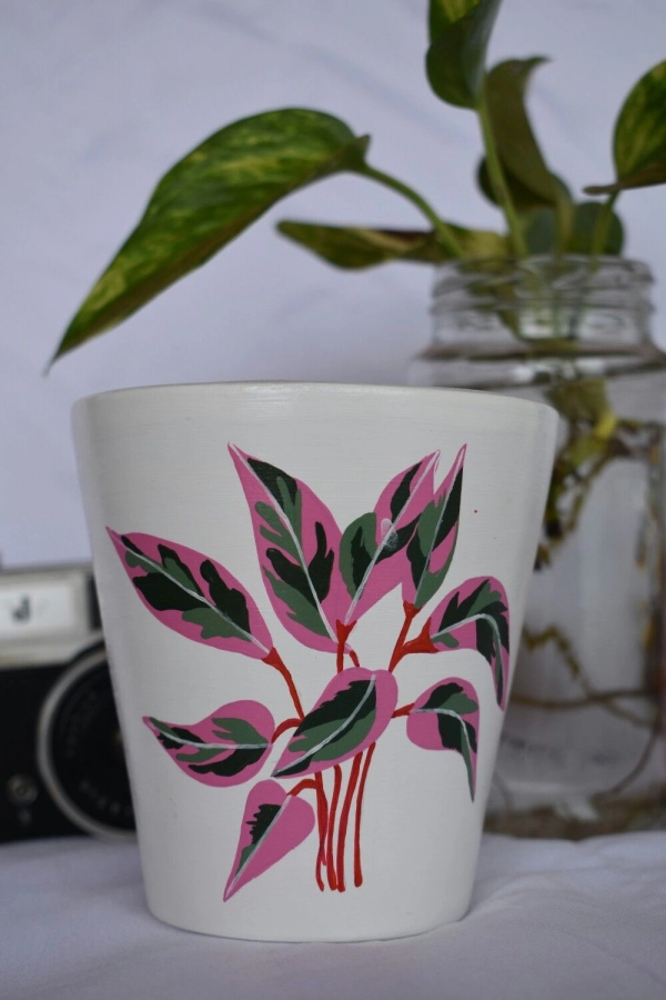 30+ Ideias Criativas para Pintar Vasos e Potes: Decore sua Casa ou Lucre Vendendo