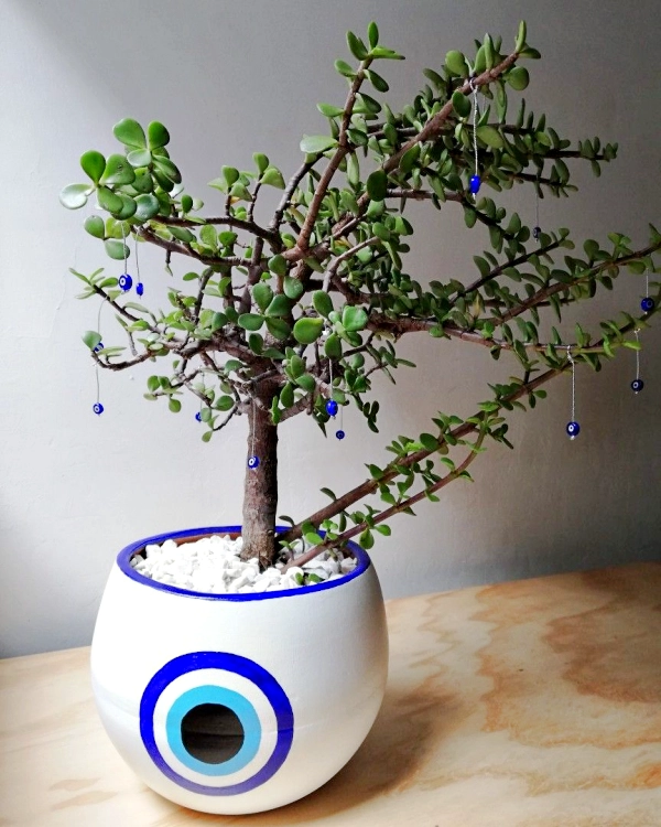 Vasos Engraçados e Criativos para Alegrar o Ambiente