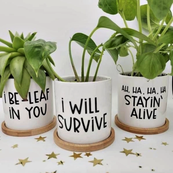 Vasos Engraçados e Criativos para Alegrar o Ambiente