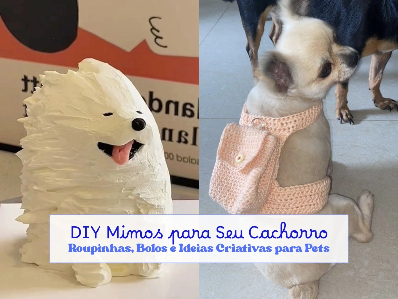 DIY Mimos para Seu Cachorro: Roupinhas, Bolos e Ideias Criativas para Pets