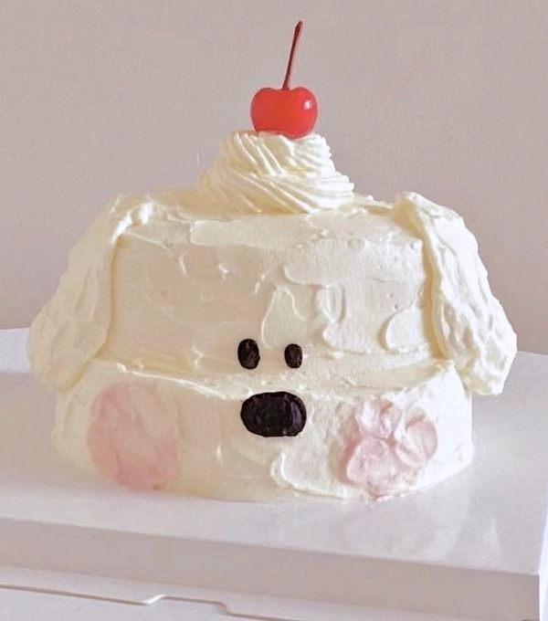 DIY Mimos para Seu Cachorro: Roupinhas, Bolos e Ideias Criativas para Pets