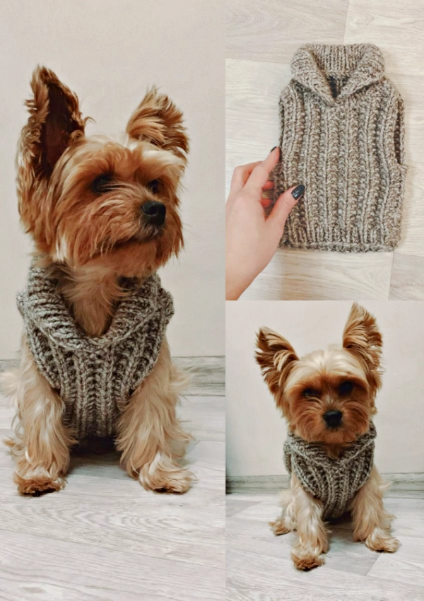 DIY Mimos para Seu Cachorro: Roupinhas, Bolos e Ideias Criativas para Pets