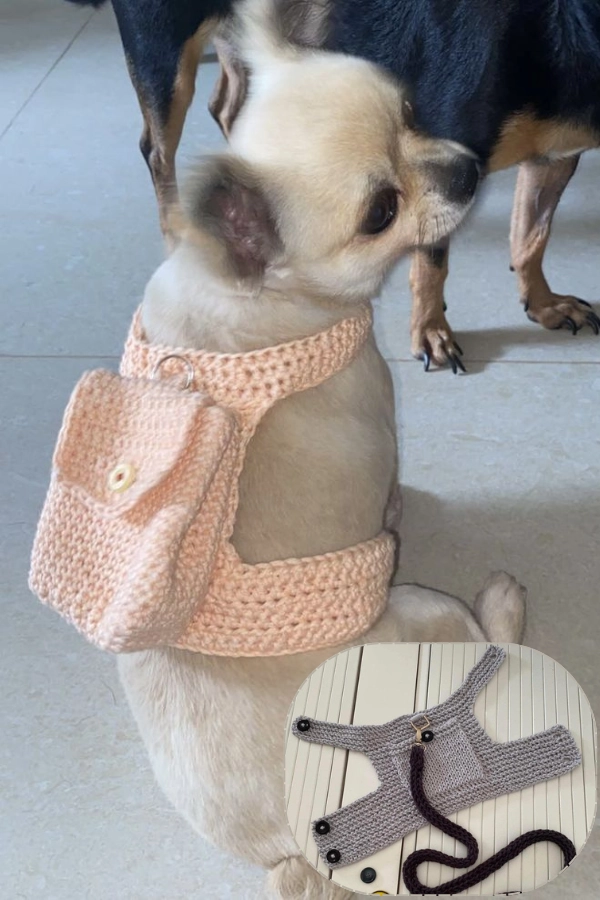 DIY Mimos para Seu Cachorro: Roupinhas, Bolos e Ideias Criativas para Pets