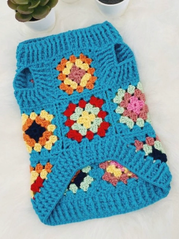 DIY Mimos para Seu Cachorro: Roupinhas, Bolos e Ideias Criativas para Pets